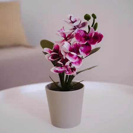 Spring - Mall Coresi Apartment